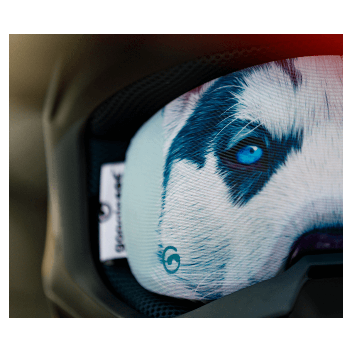 GoggleSoc - Husky Soc - Billede 2