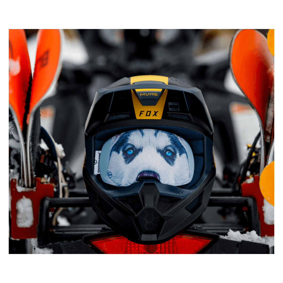 GoggleSoc - Husky Soc - Billede 3